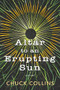 Altar to an Erupting Sun by Chuck Collins, 9798986532462