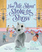 How Mr. Silver Stole the Show by Kate Klise, M. Sarah Klise, 9781250864765