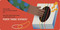 This Is Music: Strings by Rekha S. Rajan, Tania Yakunova, 9780593387047