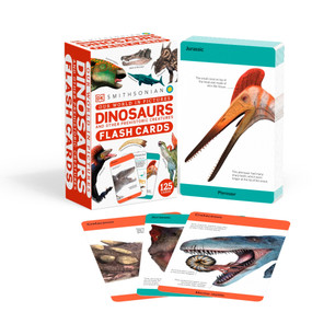 Our World in Pictures Dinosaurs and Other Prehistoric Creatures Flash Cards by DK, 9780744082548