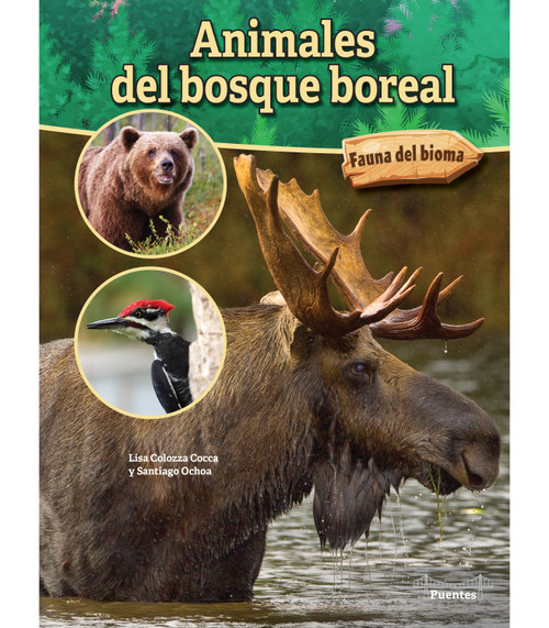 Animales del bosque boreal (Boreal Forest Animals) (Spanish Edition) - 9781731655110 by Lisa Colozza Cocca, 9781731655110