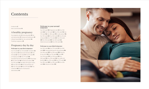 Pregnancy Day by Day (Count Down Your Pregnancy Day by Day with Advice from a Team of Experts) by DK, 9780744061321