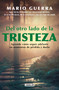 Del otro lado de la tristeza. Aprende como seguir adelante en momentos de pérdid a y duelo / On the Other Side of Sadness. Learn How .. (Spanish Edition) by Mario Guerra, 9786073824163