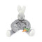 Bloom Silly Buddy, BBTB100107