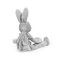 Bloom Silly Buddy, BBTB100107