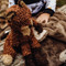 Foxy - BBTB100309