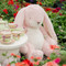 Big Nibble Bunny Pink, BBTB100402