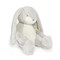 Sweet Nibble Bunny Gray, BBTB100429