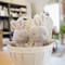 Friendly Chime Gray Bunny, BBTB101061