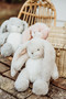 Wee Nibble Bunny Cream, BBTB101070
