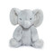 Sweet Nibble Peanut, BBTB103116
