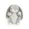 Harley Hare, BBTB103152