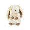 Huey Hare, BBTB103153