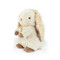 Huey Hare, BBTB103153