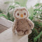 Blink Owl, BBTB103161
