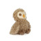 Blink Owl, BBTB103161