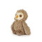 Blink Owl, BBTB103161
