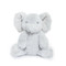 Tiny Nibble Peanut, BBTB103165
