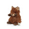 Wee Foxy, BBTB104353