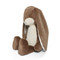 Big Floppy Nibble Bunny- Ginger Snap, BBTB104411