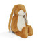 Sweet Floppy Nibble Bunny- Marigold, BBTB104413