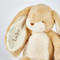 Little Floppy Nibble Bunny Almond Joy, BBTB104418
