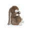 Tiny Nibble Bunny- Ginger Snap, BBTB104423
