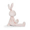 Big Silly Buddy - Blossom, BBTB104468