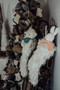 Aurora  Angora Rabbit, BBTB106003