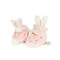 Blossom Boxed  Hoppy Feet Slippers, BBTB106014
