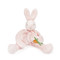 Blossom Silly Buddy, BBTB141201
