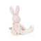Blossom Silly Buddy, BBTB141201