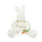 Bun Bun Silly Buddy, BBTB141207