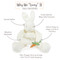 Bun Bun Silly Buddy, BBTB141207