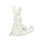 Bun Bun Silly Buddy, BBTB141207