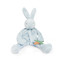 Bud Silly Buddy, BBTB141214