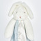 Bud Buddy Blanket, BBTB210712