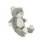 Shaggy Purr-ty, BBTB450106