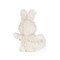 Shaggy Hoppy, BBTB450107
