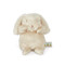 Wee Rutabaga, BBTB604111