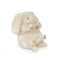 Wee Rutabaga, BBTB604111