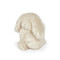 Wee Rutabaga, BBTB604111