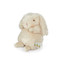 Wee Rutabaga, BBTB604111