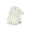 Wee Ittybit, BBTB824110