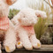 Hammie, BBTB861101
