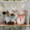 Hammie, BBTB861101