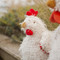 Clucky, BBTB861104
