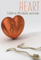 Heart Like a Broken Arrow - 9781978596504 by Maija Barnett, 9781978596504