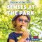 Senses at the Park by Ursula Pang, 9781538388938