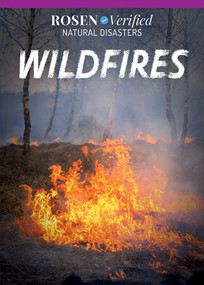Wildfires - 9781499473605 by Theresa Emminizer, 9781499473605